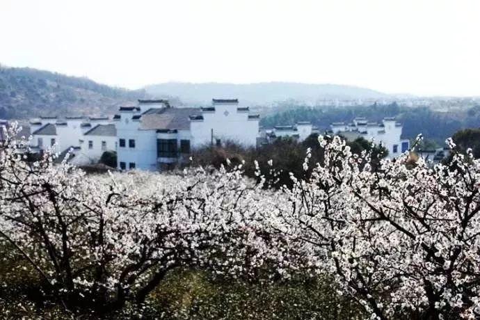 雷竞技比分
